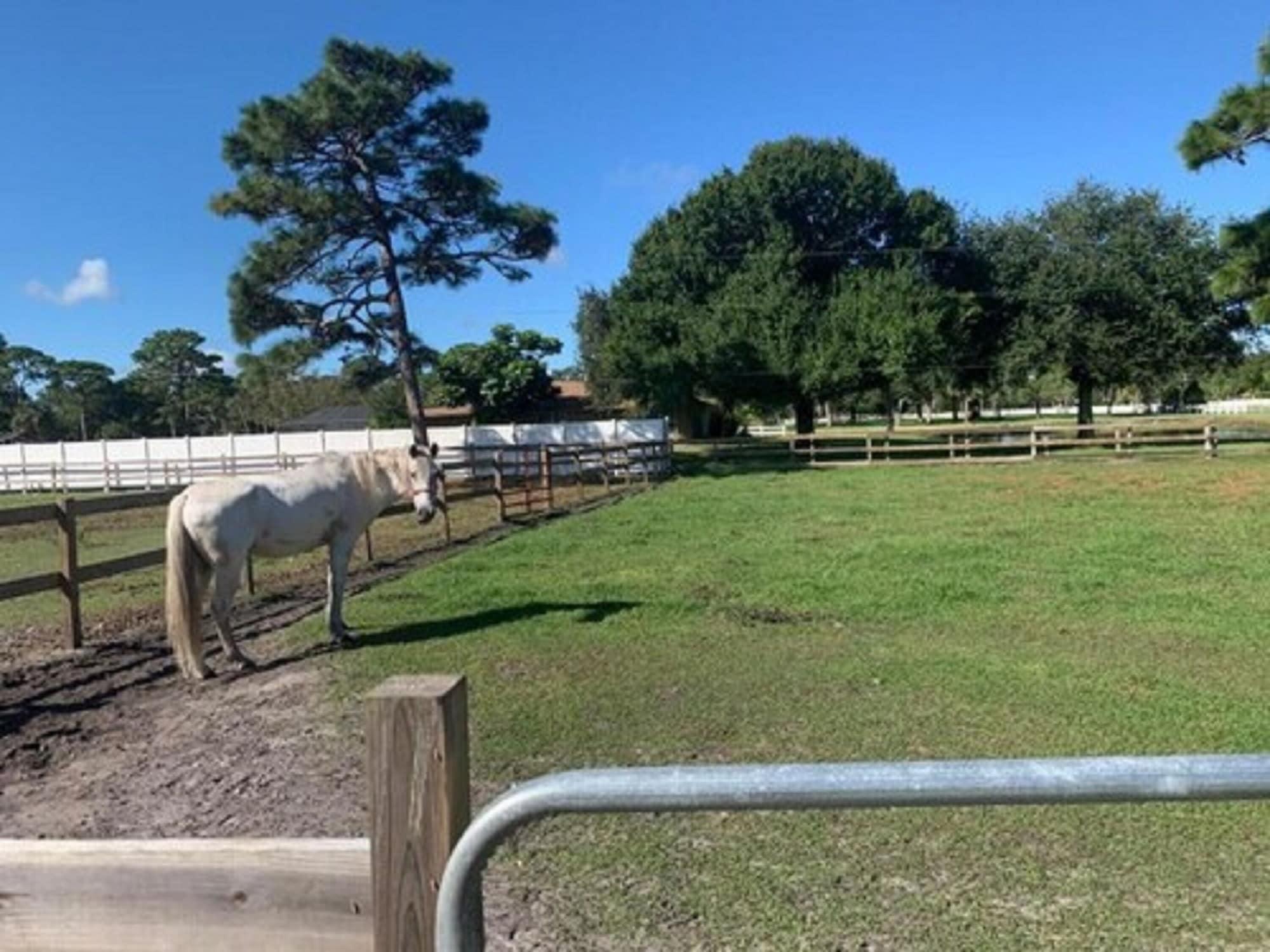 Oyo Family Ranch At Melbourne Fl Hotel Exterior foto